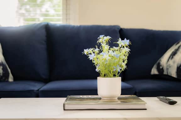 Heights Haven on Paris | 2BD Stay